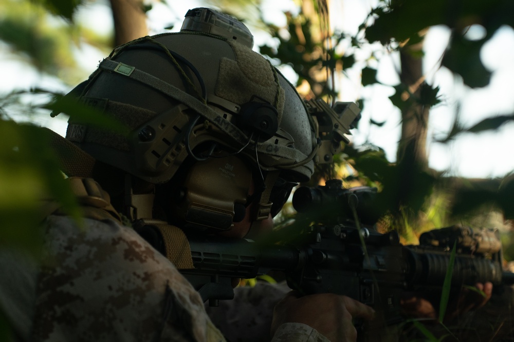 2nd ANGLICO and NATO Allies Conduct Onboarding Drills During Burmese Chase 24