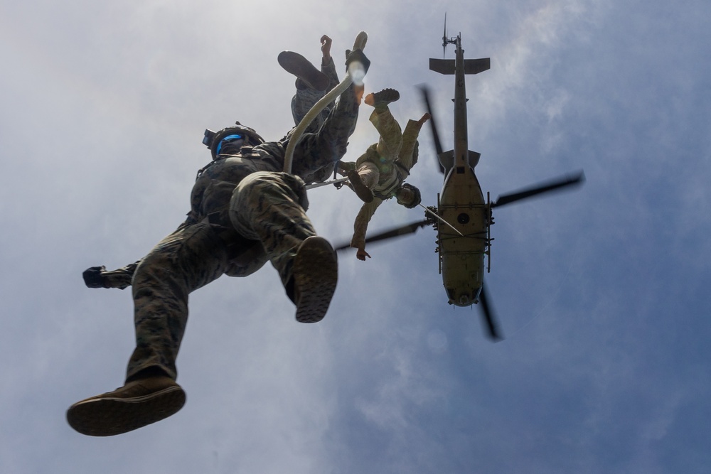 HMLA-367 supports helicopter rope suspension training