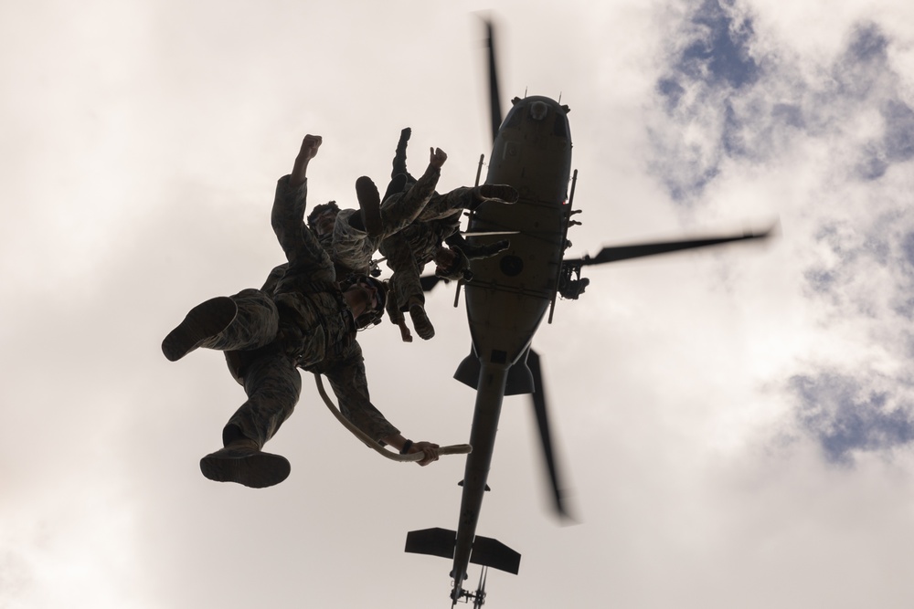 HMLA-367 supports helicopter rope suspension training