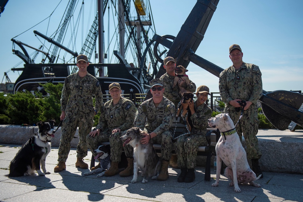 Bring Your Dog to Work Day At USS Constitution