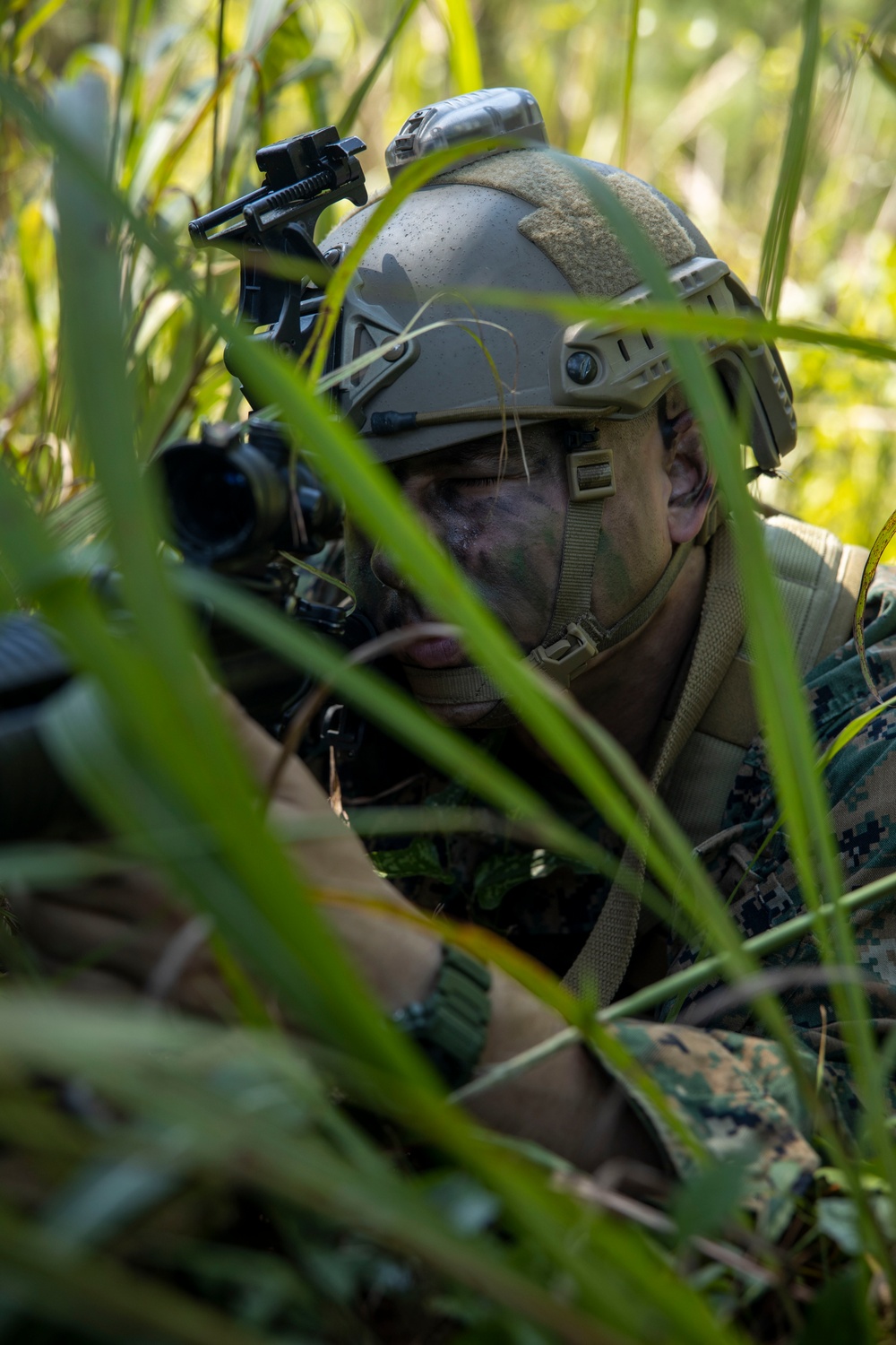 The Faces of the Red Cell: Burmese Chase 24