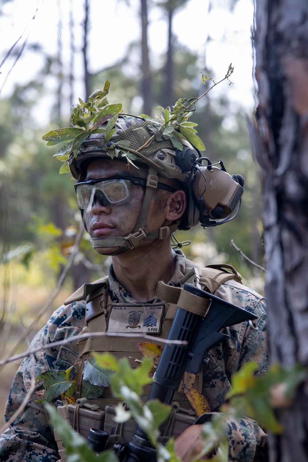 The Faces of the Red Cell: Burmese Chase 24