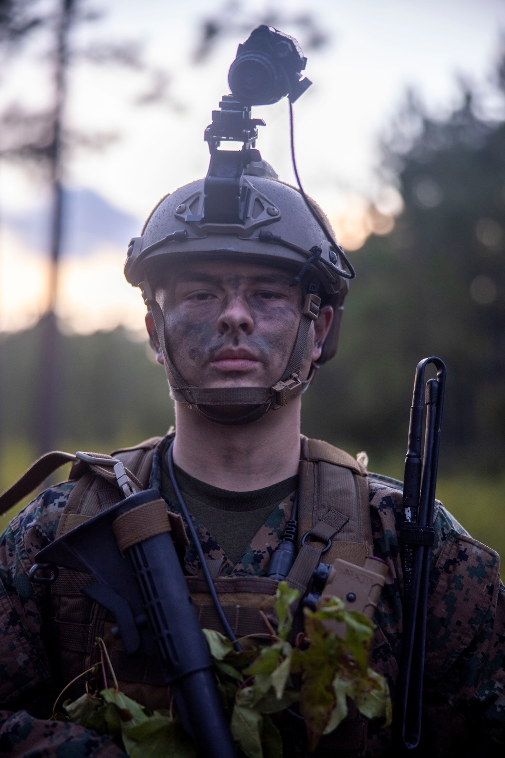 The Faces of the Red Cell: Burmese Chase 24