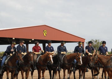 1st Cavalry Division Horse Cavalry Detachment Conducts Joint Training with British Cavalry