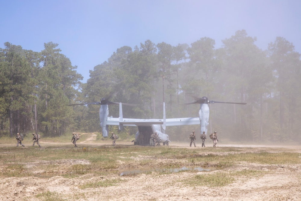 Burmese Chase 24 Final Exercise