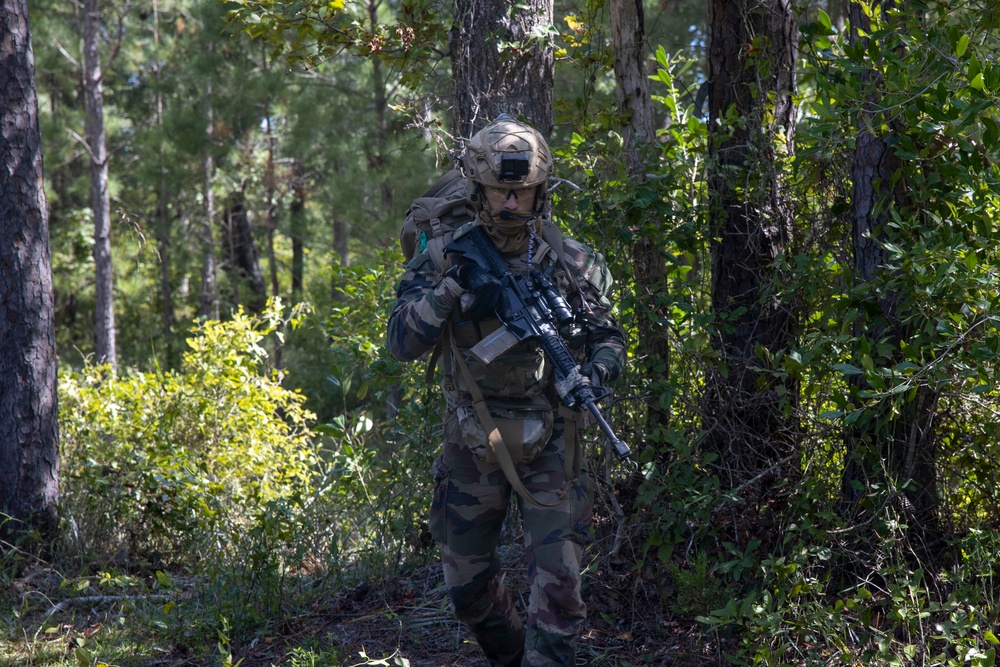 Burmese Chase 24 Final Exercise