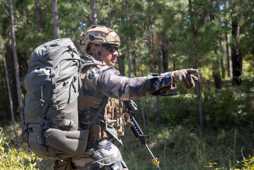 Burmese Chase 24 Final Exercise