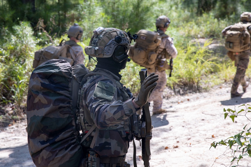 Burmese Chase 24 Final Exercise