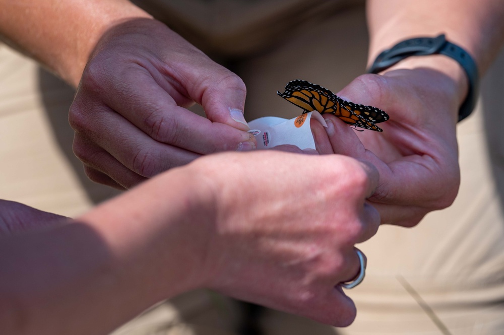 Monarch Butterfly Release