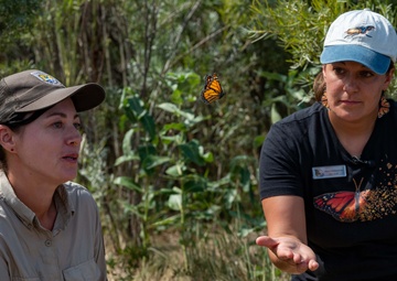 Monarch Butterfly Release