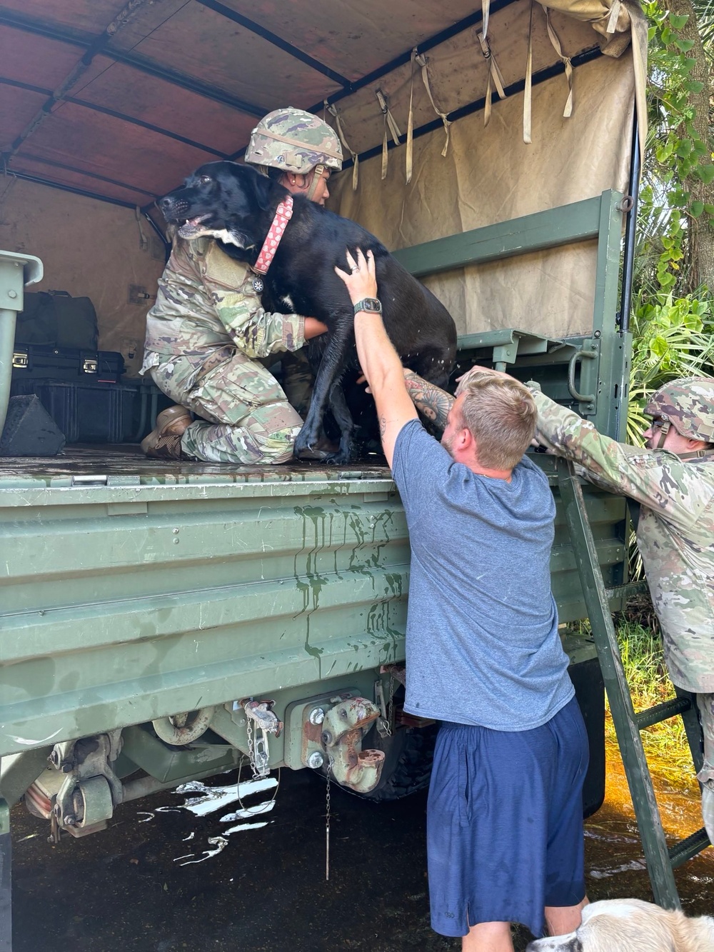 Hurricane Helene Response