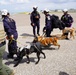 Urban Search and Rescue Texas Task Force One Responds to Hurricane Helene