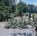 Road Clearance