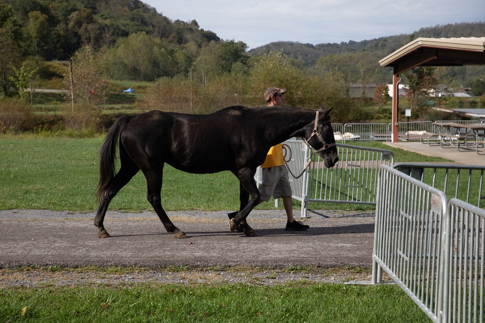 West Virginia National Guard Hosts Outdoor Activities during the Gold Star Families Weekend Retreat