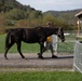 West Virginia National Guard Hosts Outdoor Activities during the Gold Star Families Weekend Retreat