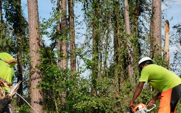 Damage from Hurricane Helene