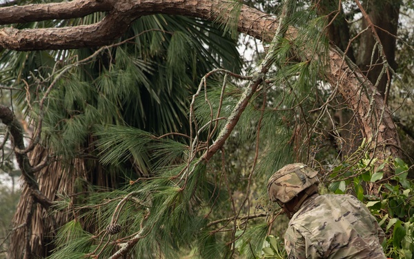 Storm Relief Efforts
