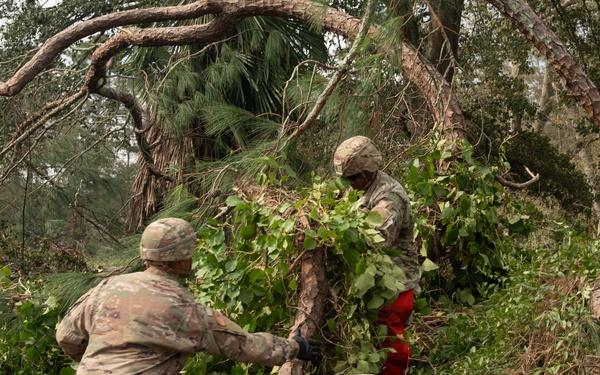 Heroes In Action