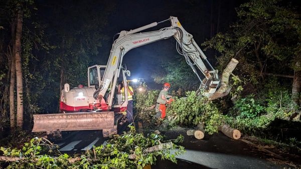 Debris Clearing after Helene