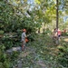 Debris Clearing after Helene