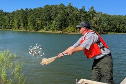 USACE Savannah District and Georgia DNR stock Richard B. Russell Lake with largemouth bass