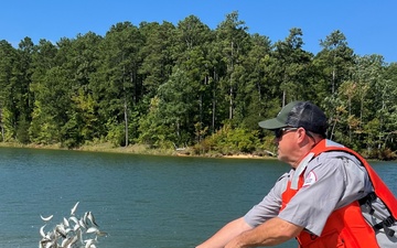 USACE Savannah District and Georgia DNR stock Richard B. Russell Lake with largemouth bass