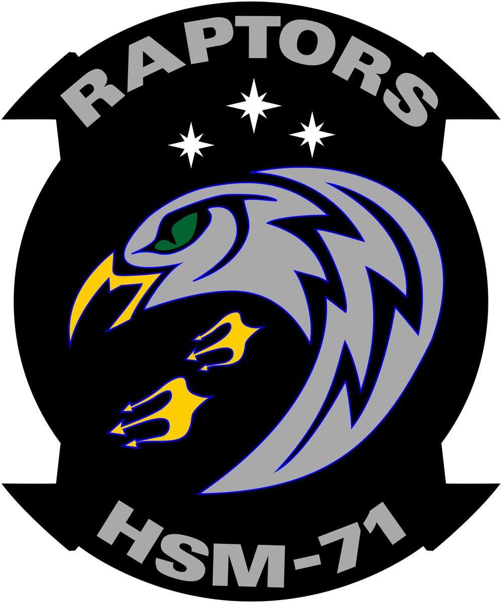 HSM-71 Raptors, Logo SealPatch