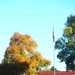 Fort McCoy Fall Colors 2024