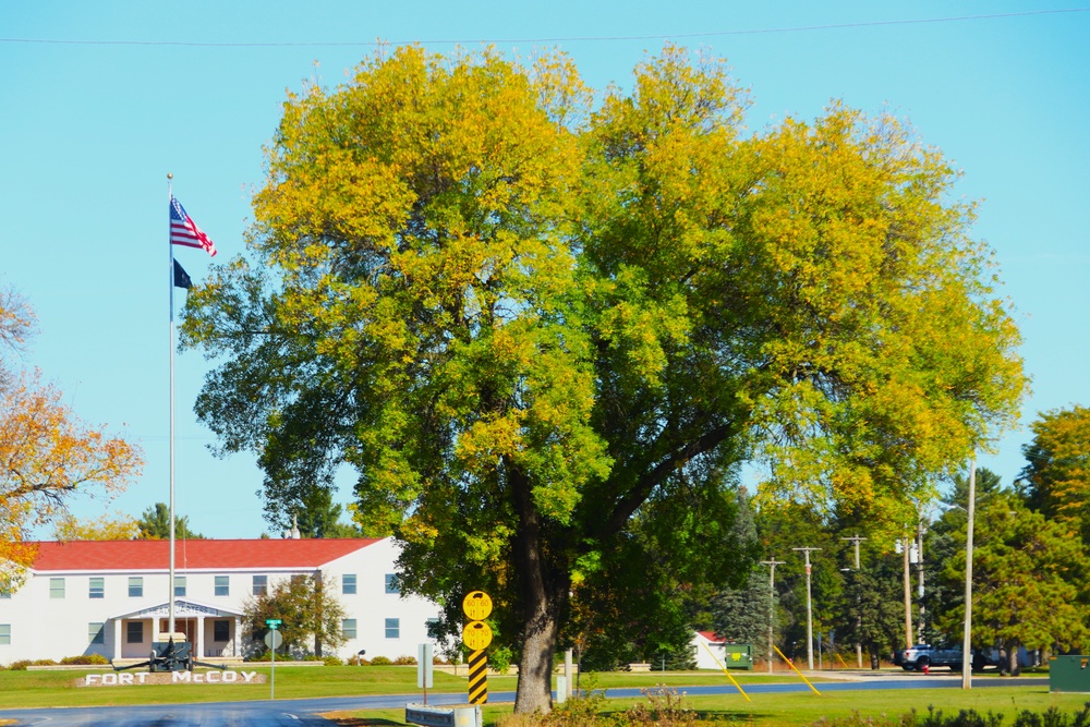 Fort McCoy Fall Colors 2024