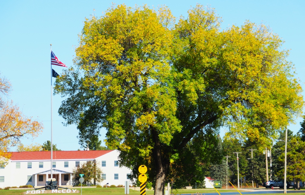 Fort McCoy Fall Colors 2024