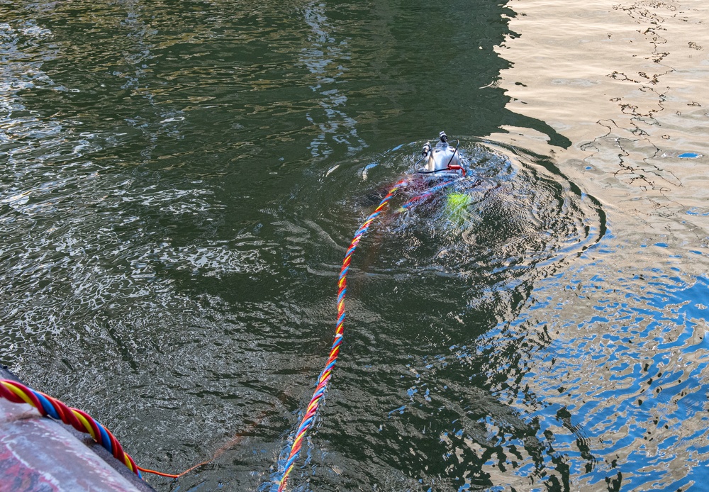 USACE Nashville District inspects Wilson Lock