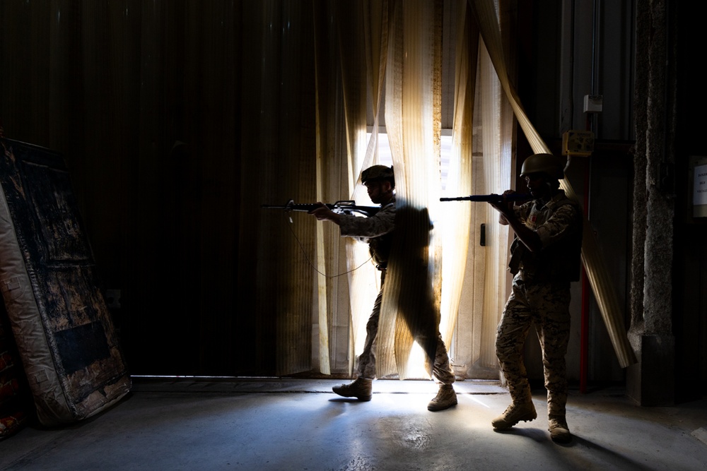 U.S. Marines and Royal Bahrain Marines Simulate Tactical Combat in Manama, Bahrain.