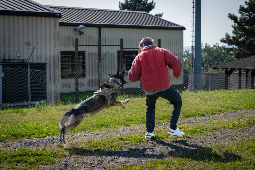 Alan Walker visits Spangdahlem