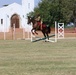 Mounted Pistols Jump