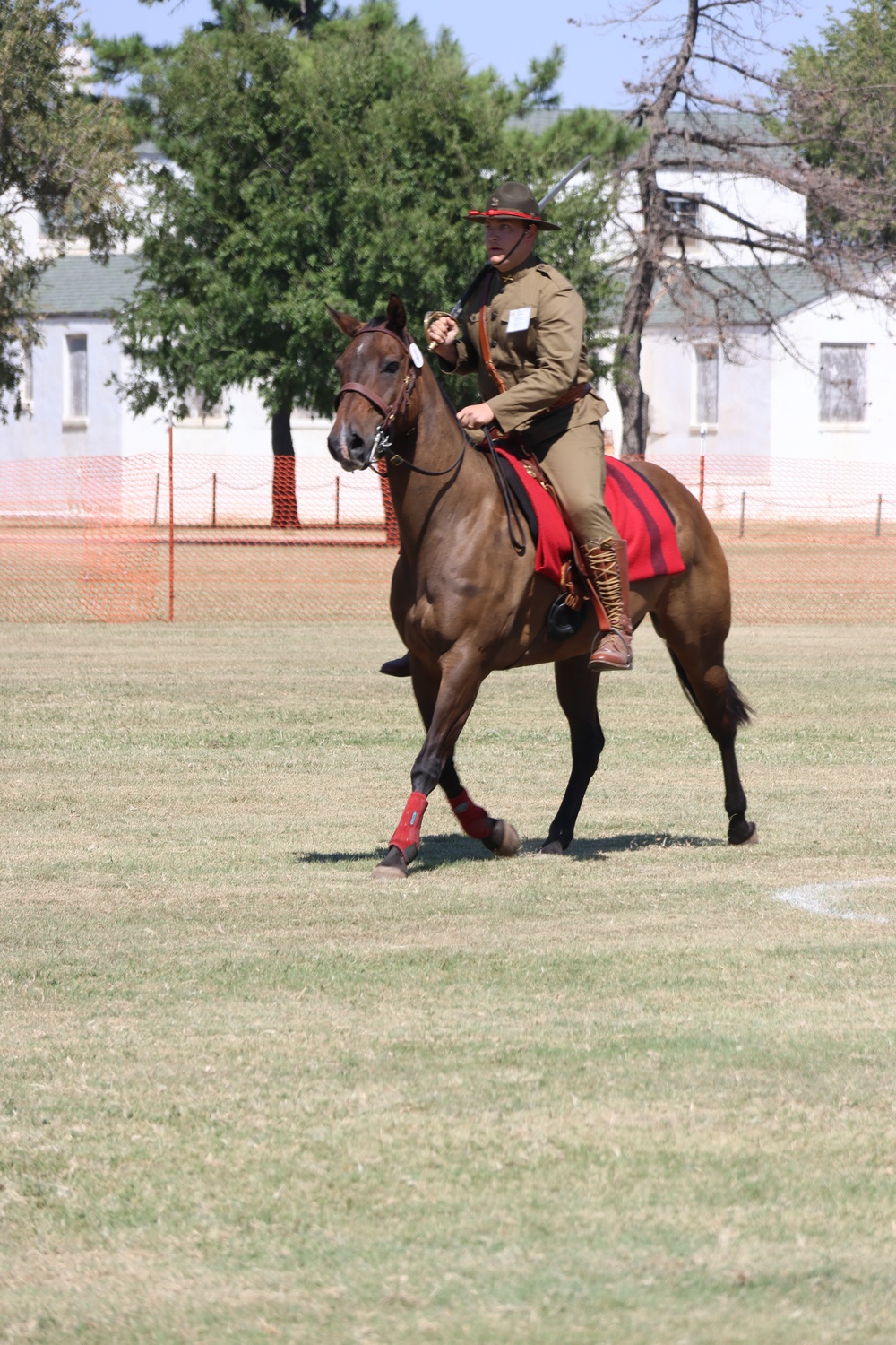 Mounted Saber