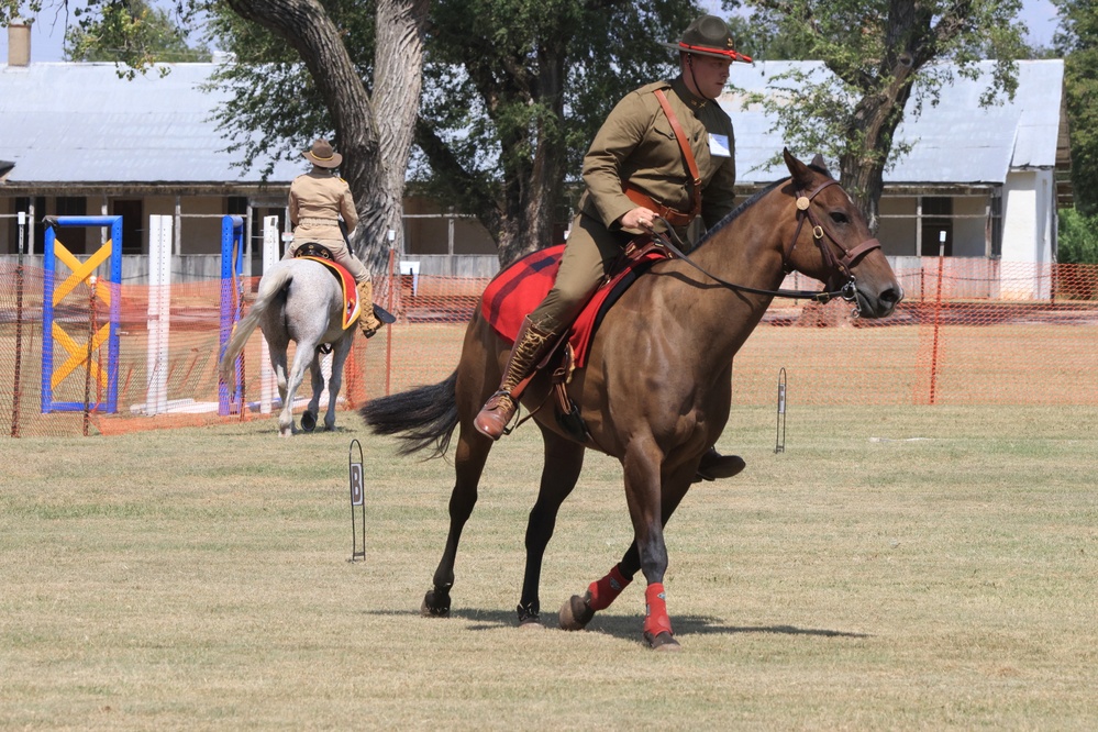 Horsemanship on display