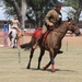 Horsemanship on display