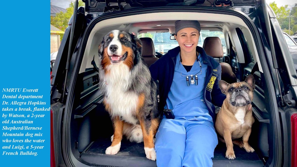 Gone To the Dogs at Naval Hospital Bremerton