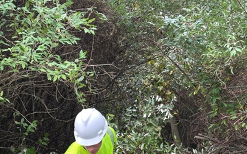 Volunteers help control invasive plants at Mount Morris Dam for National Public Lands Day