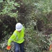 Volunteers help control invasive plants at Mount Morris Dam for National Public Lands Day