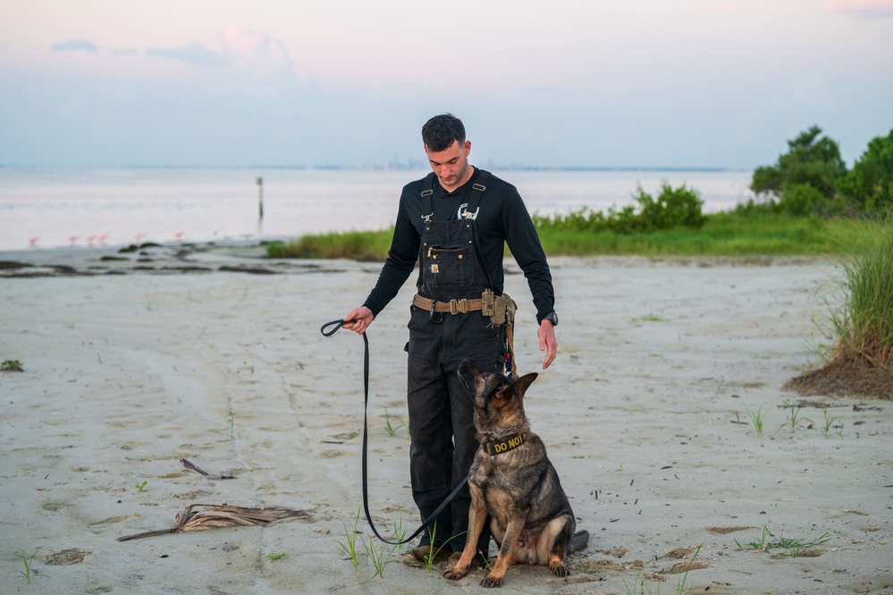 Military working dog handlers building bonds