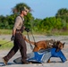 Military working dog handlers building bonds