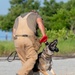 Military working dog handlers building bonds