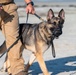 Military working dog handlers building bonds