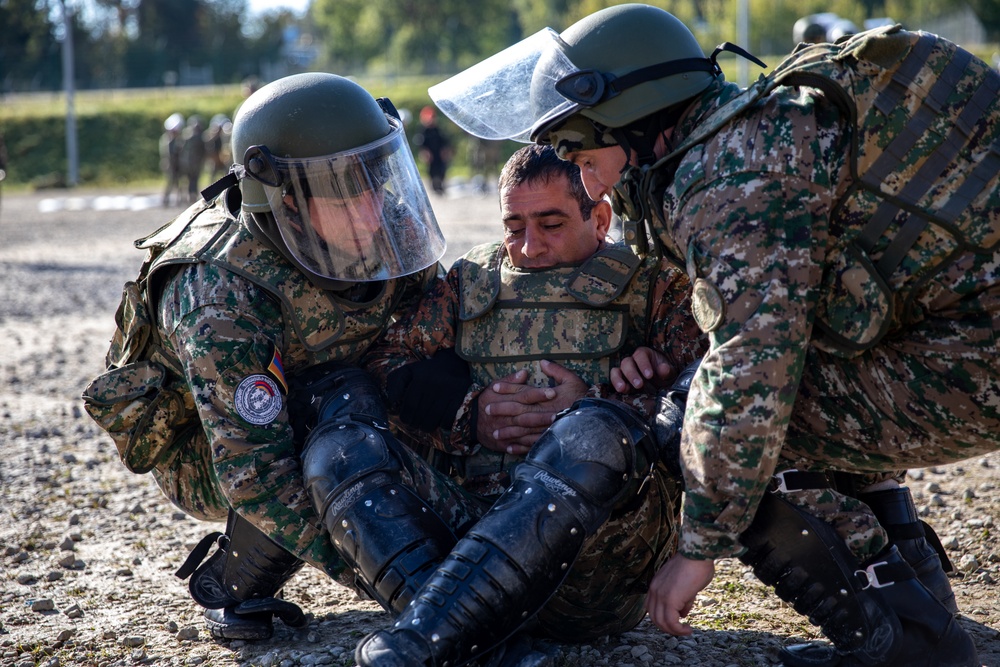 Multinational Partners Conduct Freedom of Movement Training in Preparation for KFOR