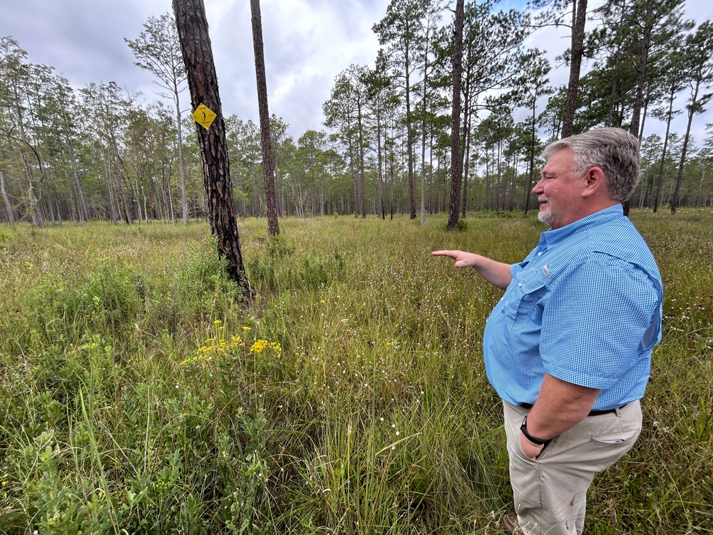 Fort Stewart hails several conservation milestones