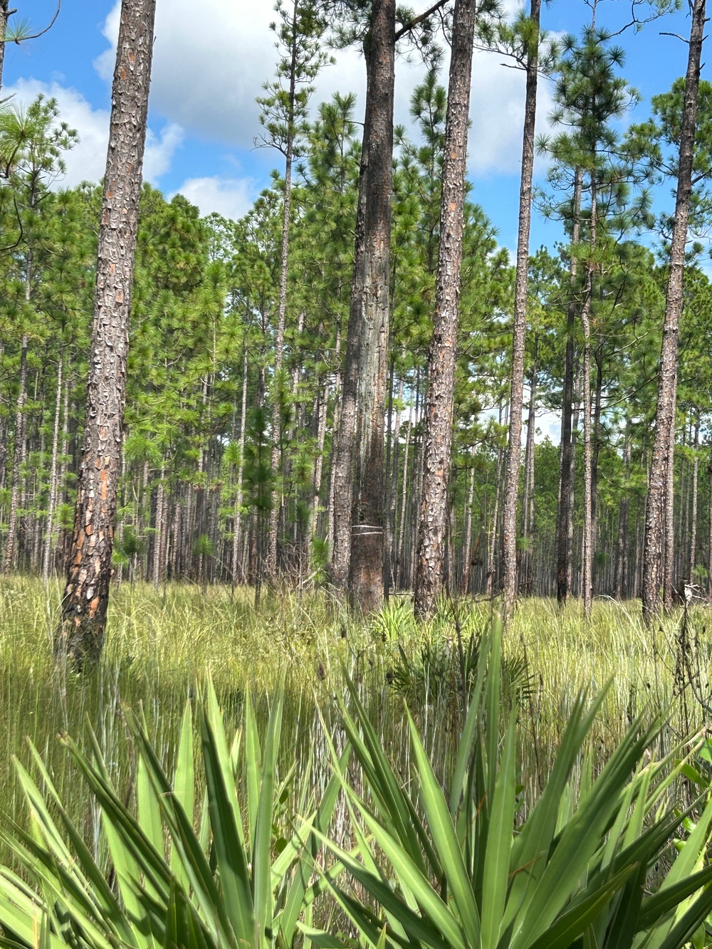 Fort Stewart hails several conservation milestones