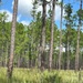 Fort Stewart hails several conservation milestones