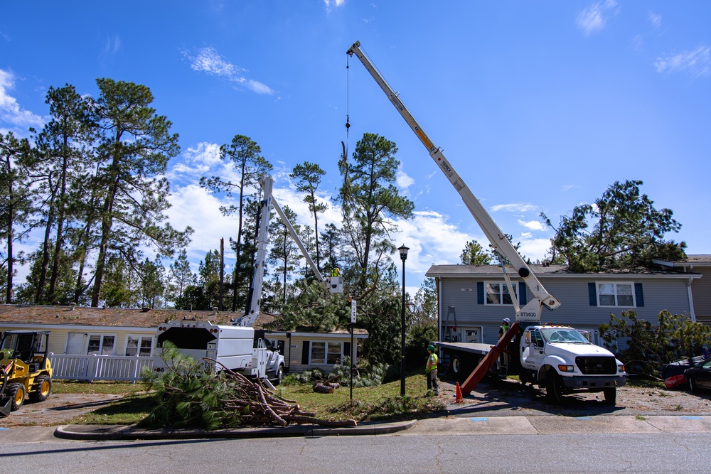 Removing Trees from Homes