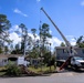 Removing Trees from Homes